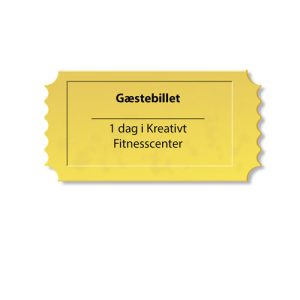 Dagsbillet / Gæstebillet